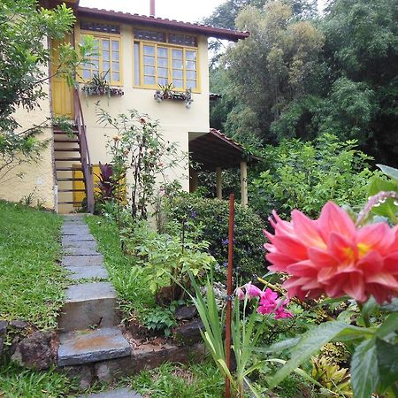 Rosa Amarela Hotel Sao Pedro da Serra  Kültér fotó